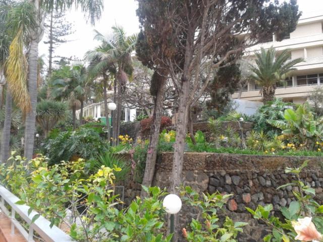 Tranquilo Apartamento Puerto De La Cruz Luaran gambar